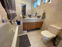 Orchid Village (D11), Semi-Detached #545207791